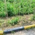 无农残甜豌豆大量开始上市啦丶