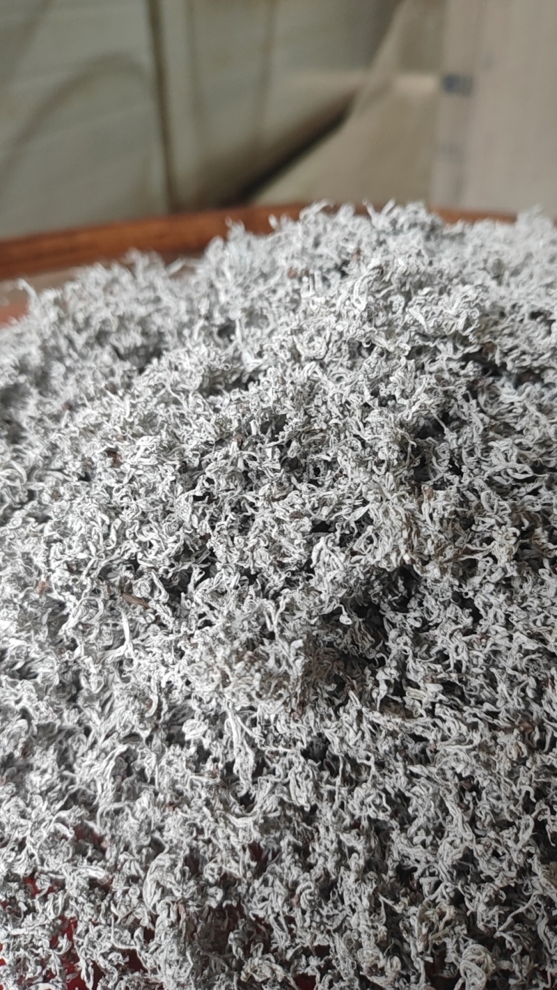 莓茶