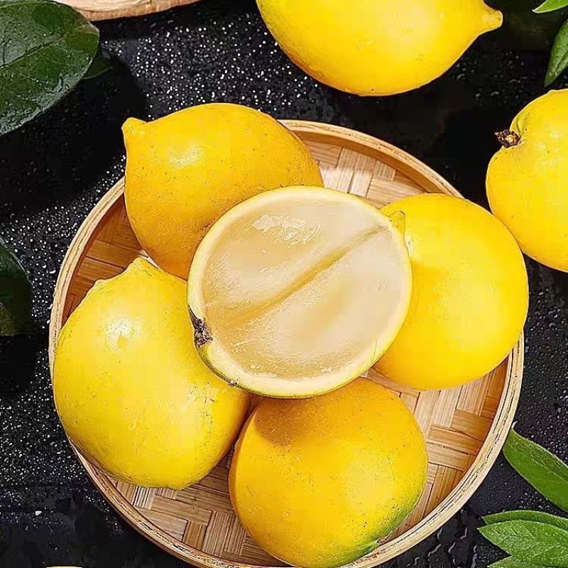 黄晶果