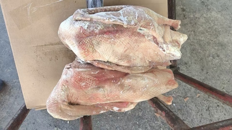 鹅头鹅翅鹅掌全鹅老鹅两光鹅三光鹅长期有货
