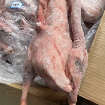 两光鹅长期有货冻品