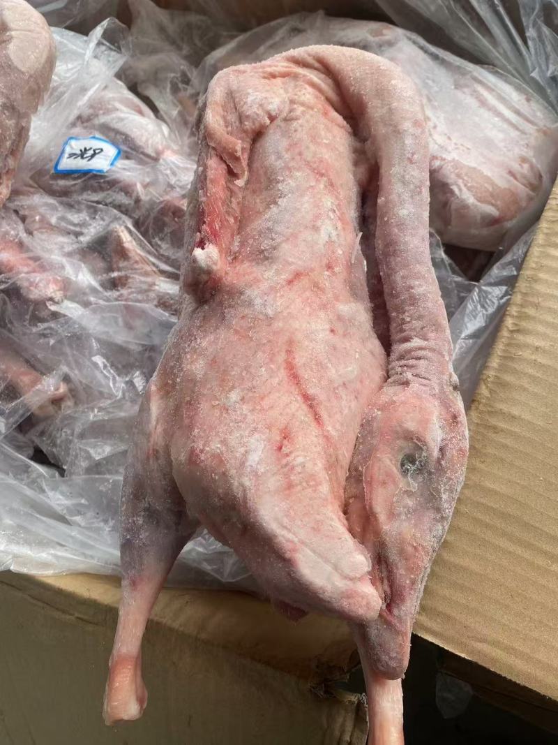 两光鹅长期有货冻品