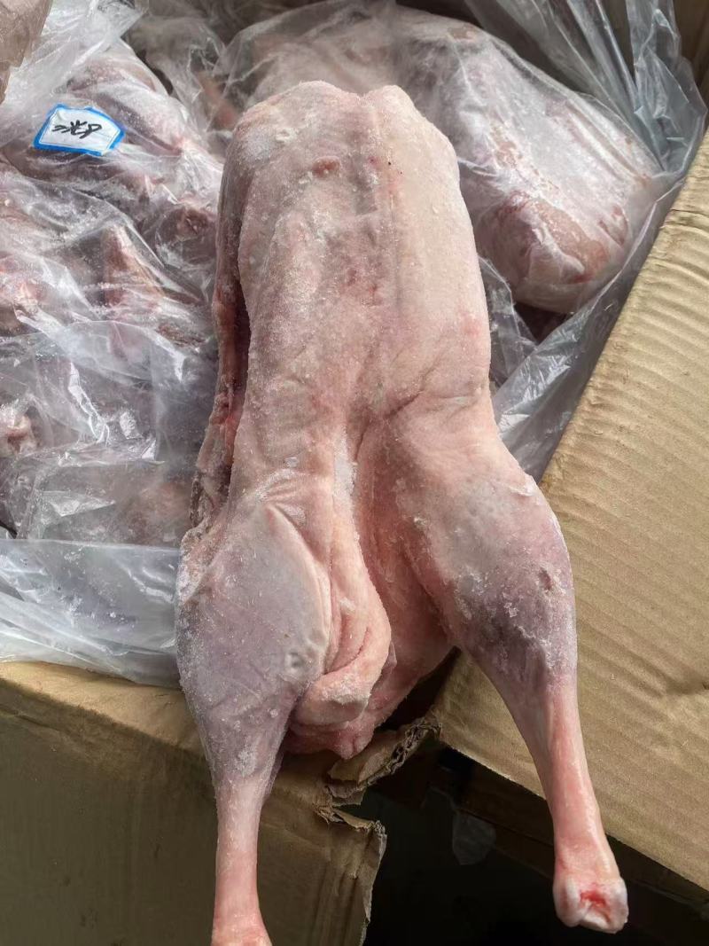两光鹅长期有货冻品