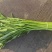 【推荐】空心菜大量上市产地直发量大从优欢迎来电