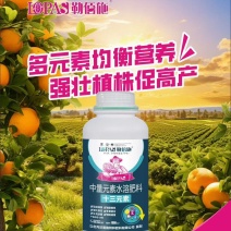 十三元素叶面肥叶面喷施，叶片宽大肥厚，叶色浓绿
