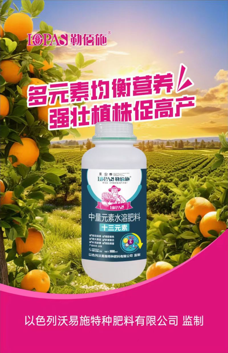十三元素叶面肥叶面喷施，叶片宽大肥厚，叶色浓绿