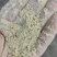 豌豆粉