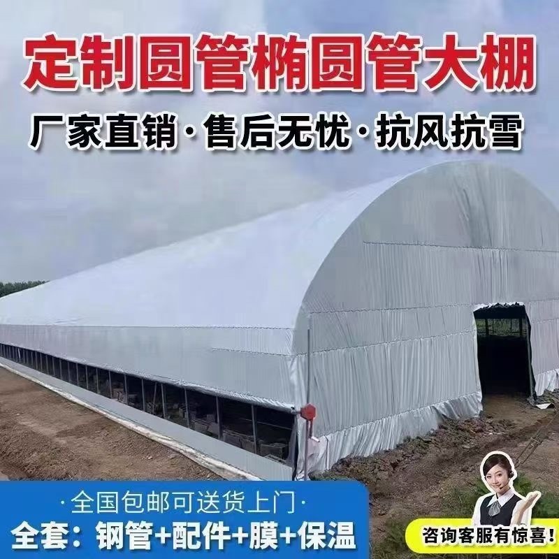 大棚管
