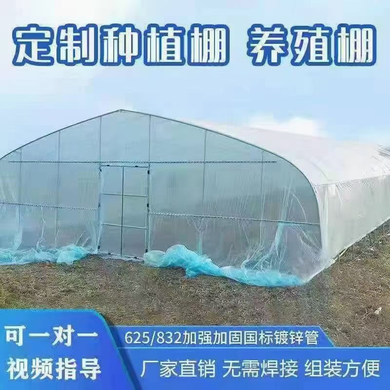 大棚管