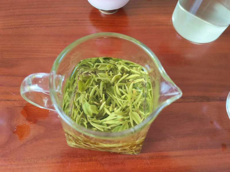 日照绿茶北纬度35°主打土特产山东精选无公害口感醇厚