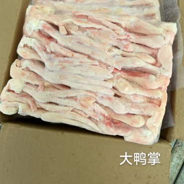 大鸭掌23.6低价处理量不多