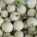 网红玉菇冰激凌甜瓜产地直发现摘现发对接全国