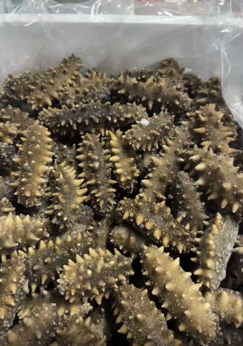 即食海参餐饮货源酒店源头工厂支持贴牌生产定制加工一件代发