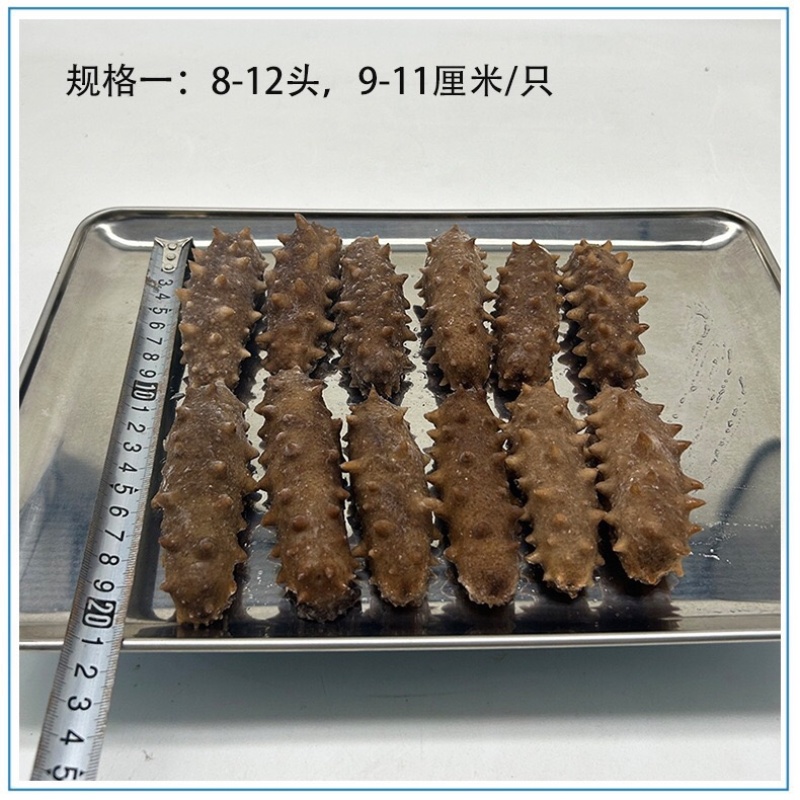 即食海参餐饮货源酒店源头工厂支持贴牌生产定制加工一件代发