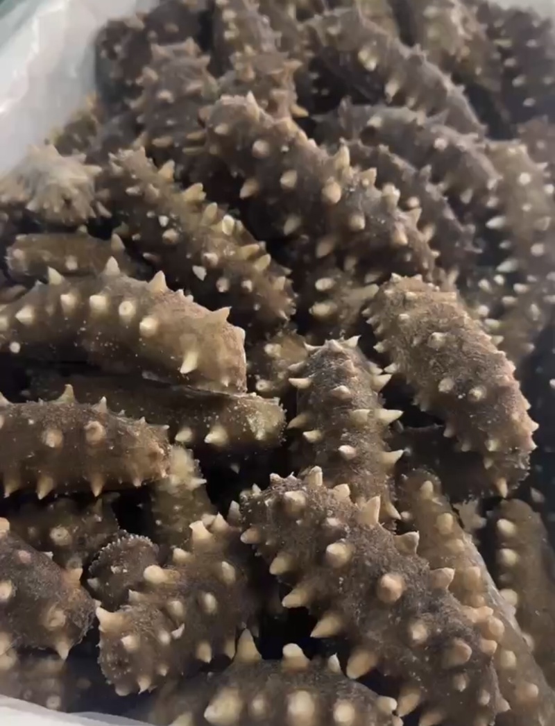 即食海参餐饮货源酒店源头工厂支持贴牌生产定制加工一件代发