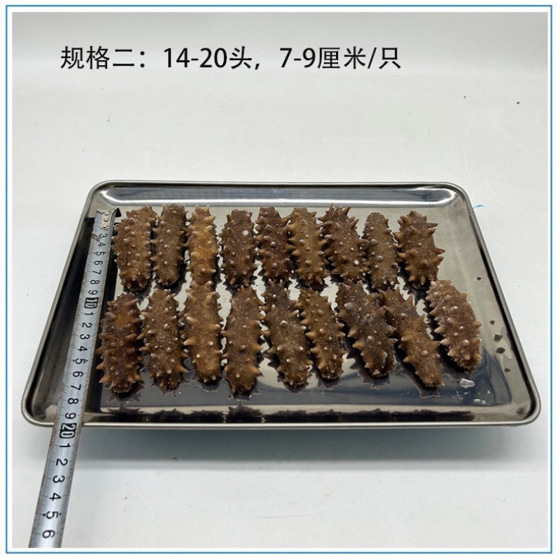 即食海参餐饮货源酒店源头工厂支持贴牌生产定制加工一件代发