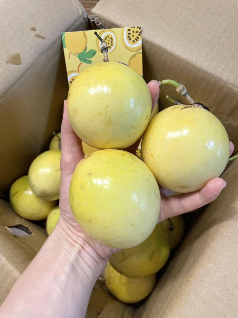 钦蜜9号百香果毛毛果源头发货