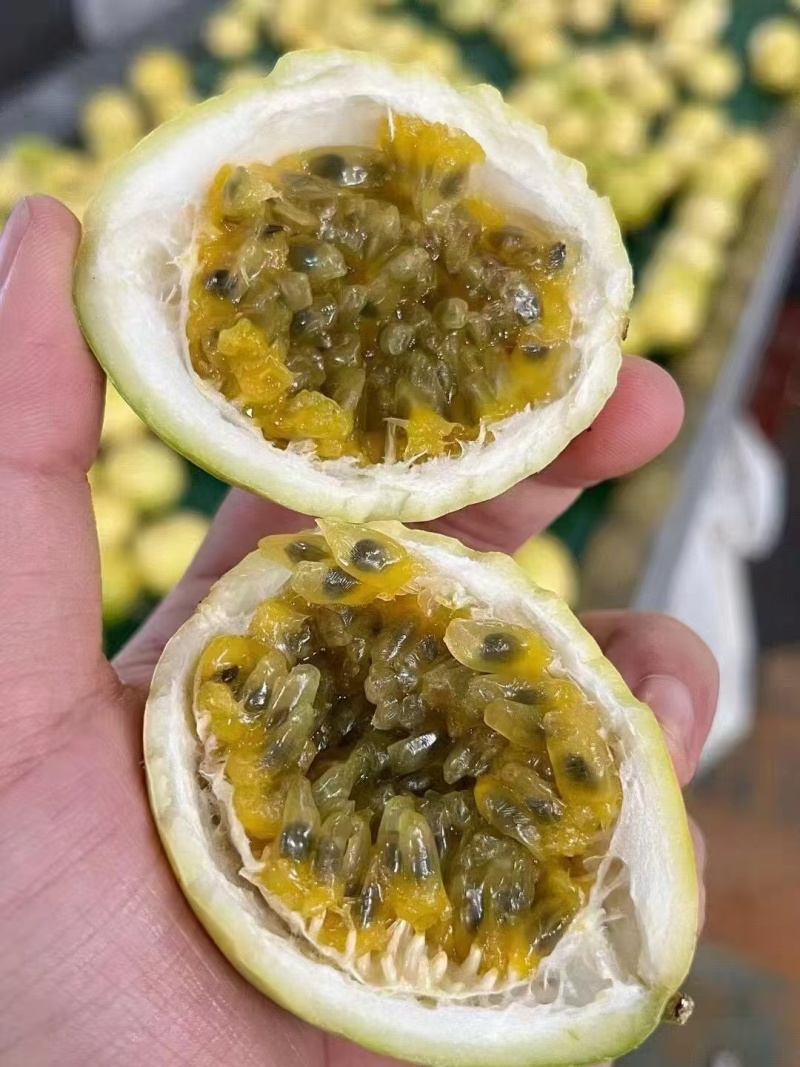 钦蜜9号百香果毛毛果源头发货