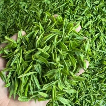 日照绿茶北纬度35°主打土特产山东精选无公害口感醇厚