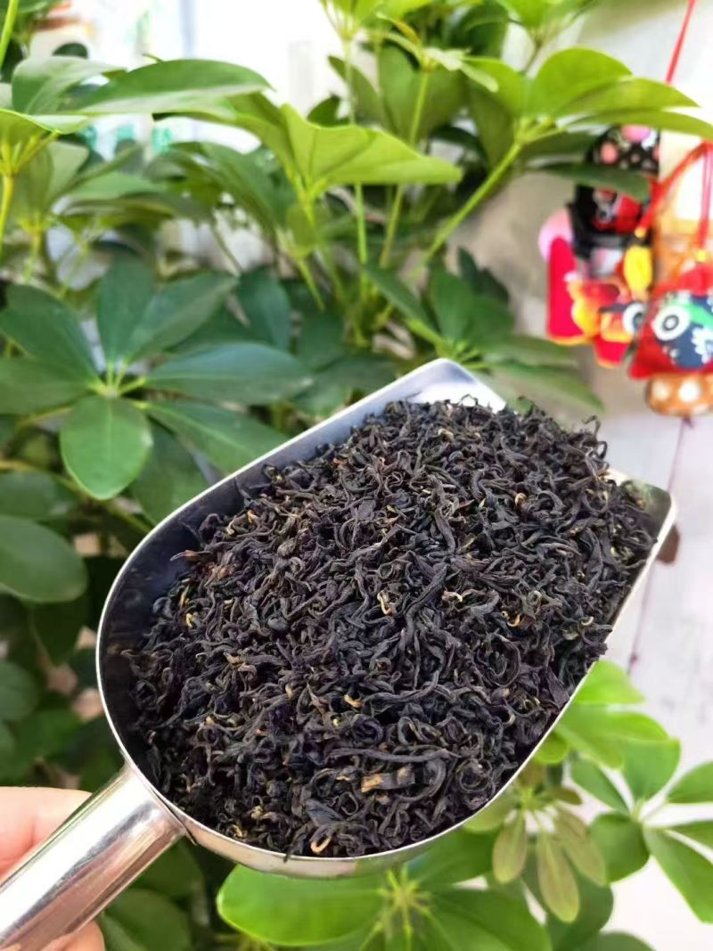 日照红茶山东基地直供质量保证口感醇厚支持一件代发