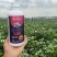 氨基酸原液螯合态含氨基酸水溶肥料植物蛋白酶