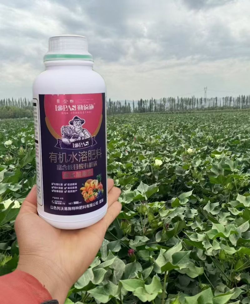 氨基酸原液螯合态含氨基酸水溶肥料植物蛋白酶
