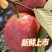 汕头现摘胭脂红番石榴精品大果新鲜当季红心软糯芭乐