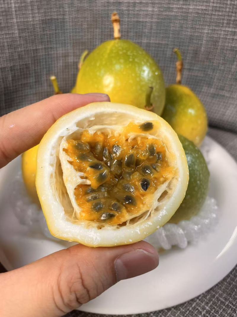 【广西百香果】正宗钦蜜9号百香果电商一件代发