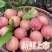 汕头现摘胭脂红番石榴精品大果新鲜当季红心软糯芭乐