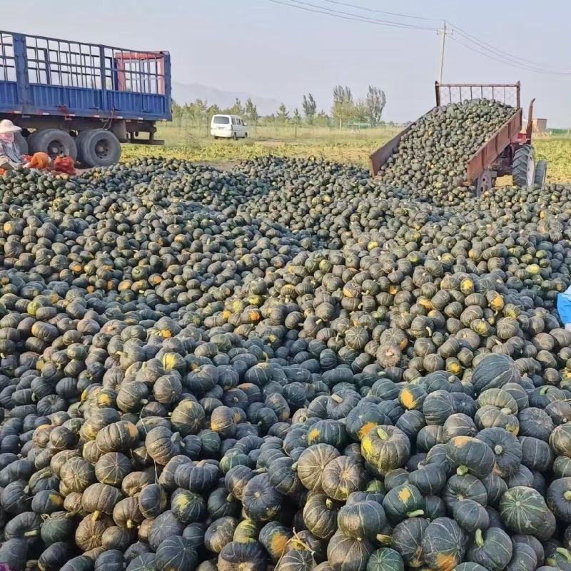 广东精品贝贝南瓜大量上市品质保证量大从优一手货源