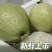 广东汕头直发珍珠白番石榴精品果新鲜上市当季白心芭乐