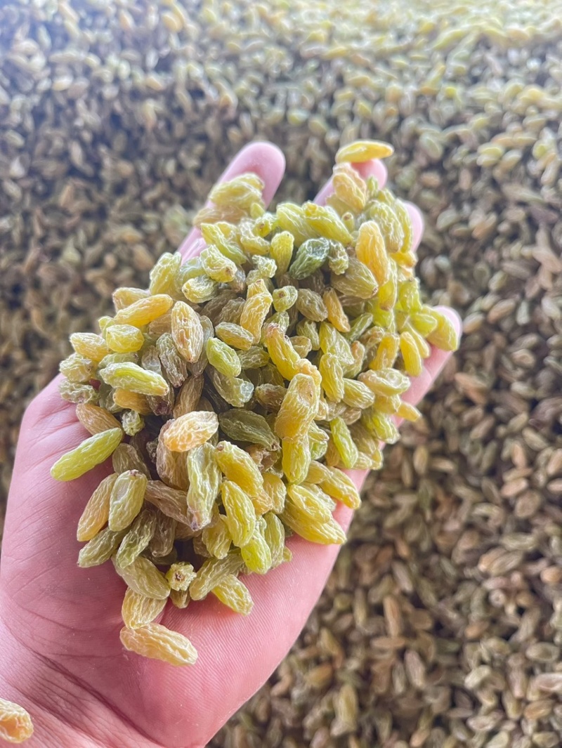 吐鲁番绿宝石葡萄干