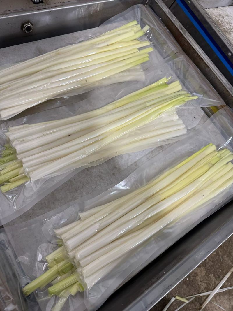 蒲菜上市了，需要的老板与我联系。