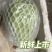 汕头现摘珍珠白番石榴精品大果新鲜当季清甜白心芭乐