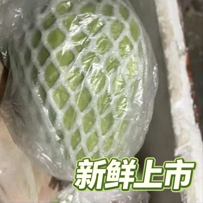汕头现摘珍珠白番石榴精品大果新鲜当季清甜白心芭乐