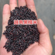 越南黑糯米