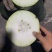 海南精品无黑心冬瓜