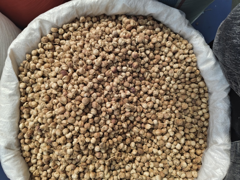 白豆蔻印尼白豆蔻原货水洗货量大从优