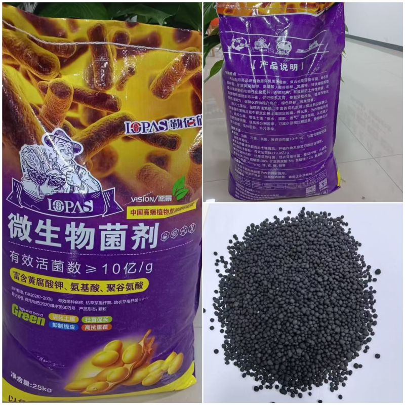 微生物菌剂-有效活菌数(枯草芽孢杆菌)2.0亿/g窝植
