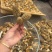 野生羊肚菌零售批发做种美味汤营养你我他