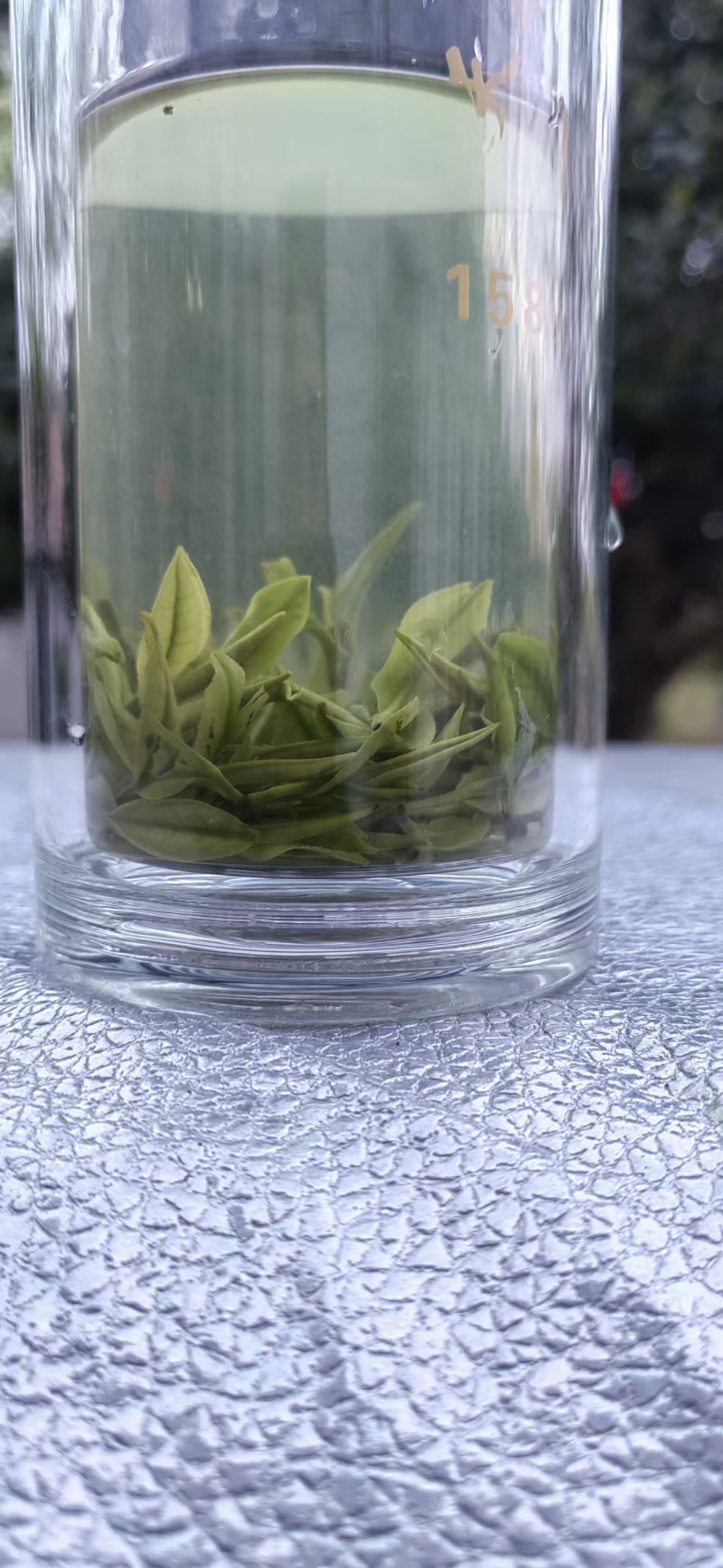 溧阳天目湖高山白茶，尖嘴白色，黄金茶，奶油白茶，自产自销