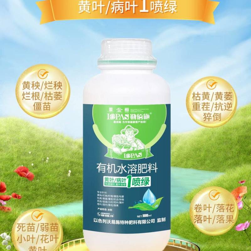 黄叶病叶一喷绿含氨基酸水溶肥料快速生根