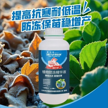 植物防冻精华液超级抗寒聚热抗冻抗逆解冻害促生长