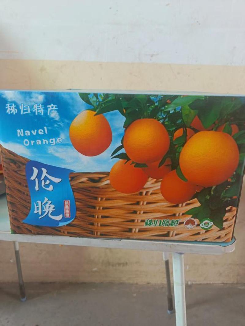 湖北伦晚脐橙现采现发，高糖爆汁，皮薄肉厚全程保鲜配送