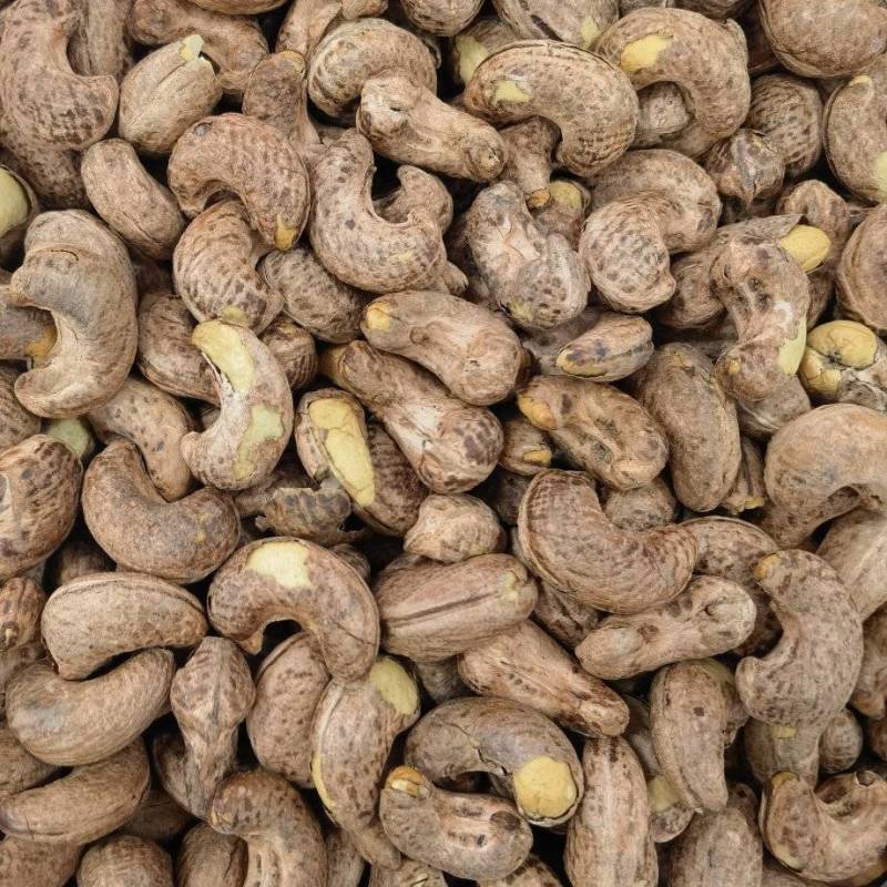 紫衣腰果大量现货，一件代发，批发零售，对接各大平台