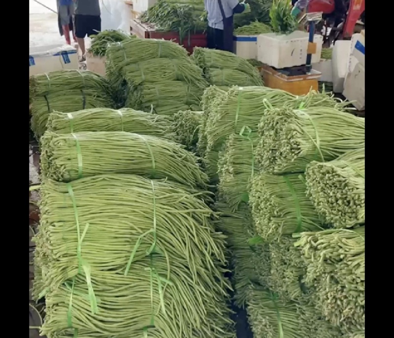 广东长豆角，青条豆角/长豆角/产地货源/保质保量，货品靓