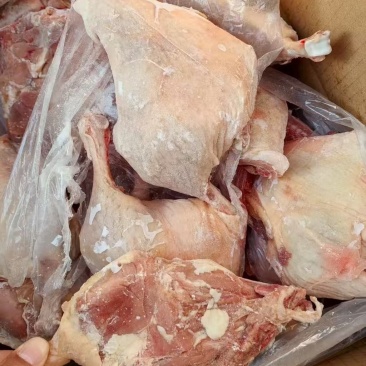 一级鸭边腿低价出