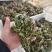 香椿芽头茬上市，对接电商市场，加工厂，代购代办