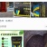 矿源黄腐酸钾1kg黄腐酸活性高水溶好易吸收！生根壮杆