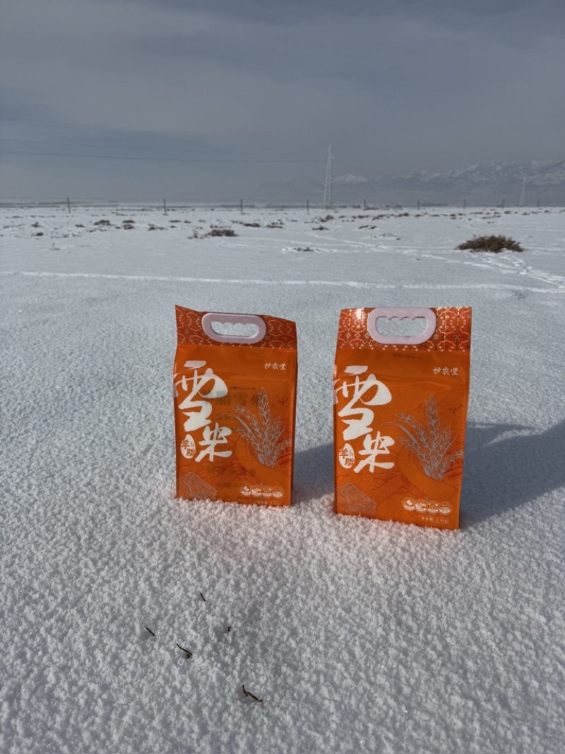【羊脂雪米香米】新疆大米厂家直销量大质优价优欢迎采购